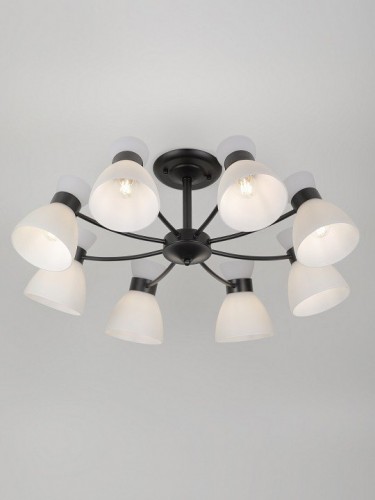 Потолочная люстра Aemilia 9185-308