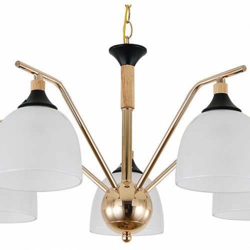 Подвесная люстра Escada Actinidia 2123/5P Подвесная люстра Escada Actinidia 2123/5P