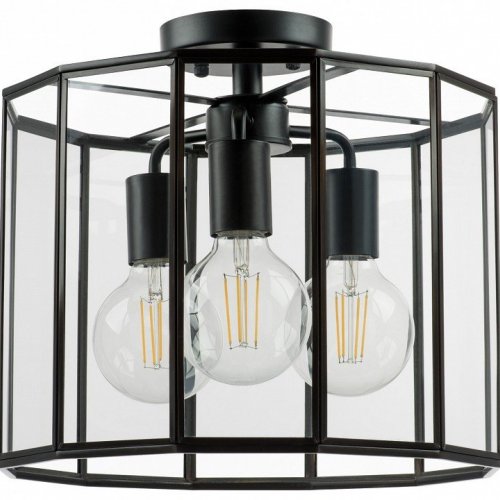 Светильник на штанге Lightstar Genni 798237 Светильник на штанге Lightstar Genni 798237