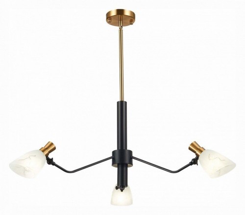 Подвесная люстра Evoluce Lita SLE205403-03