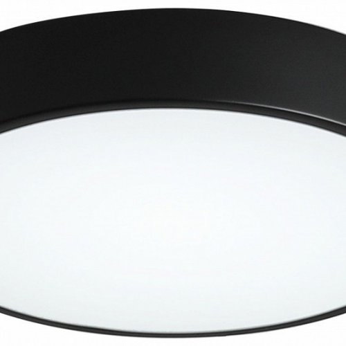 Потолочный светильник Zortes Tortty ZRS.02563.48