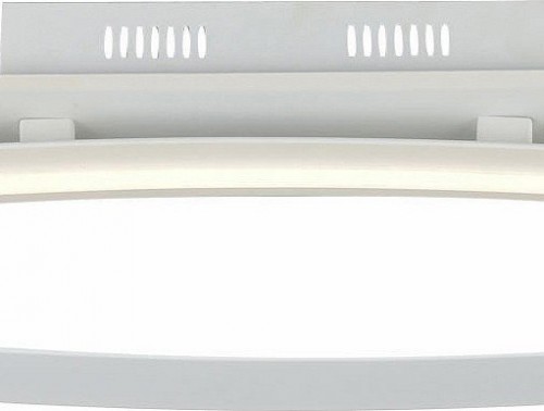 Потолочный светильник ST Luce Orione SL920.102.01 Потолочный светильник ST Luce Orione SL920.102.01