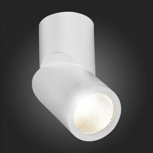 Светодиодный спот ST Luce ST650.542.10