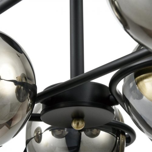 Потолочная люстра Lumion Camilie 8060/6C