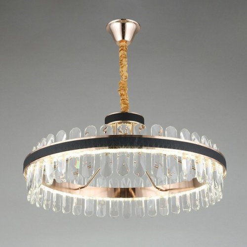 Подвесная люстра Aployt Honori APL.027.03.102