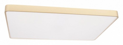 Потолочный светильник Loft IT Flims 10228/E