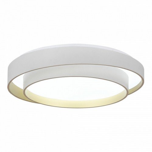 Потолочный светильник Evoluce Crosby SLE6009-502-01 Потолочный светильник Evoluce Crosby SLE6009-502-01