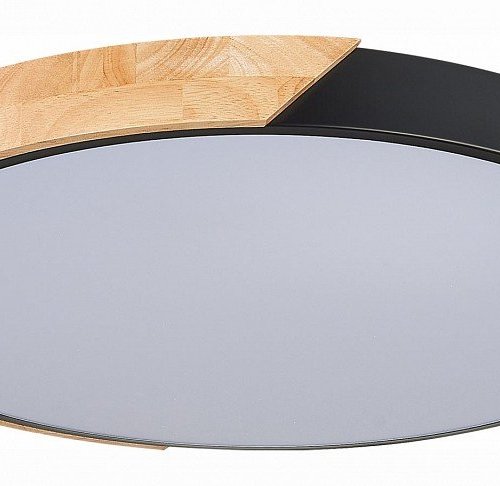 Потолочный светодиодный светильник Evoluce Festa SLE200942-01