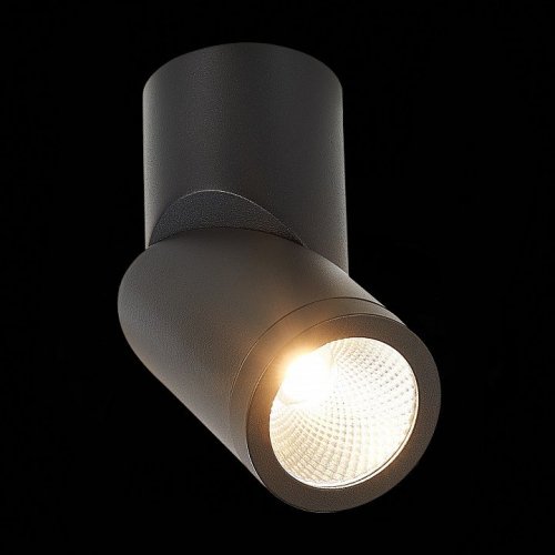 Светодиодный спот ST Luce ST650.442.10 Светодиодный спот ST Luce ST650.442.10