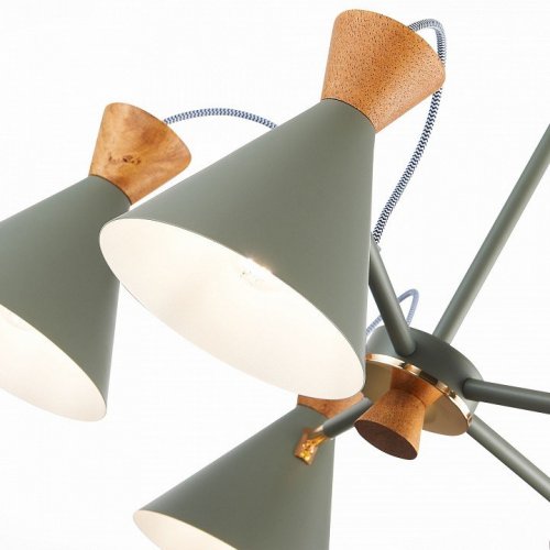 Потолочная люстра Evoluce Modica SLE125112-05 Потолочная люстра Evoluce Modica SLE125112-05