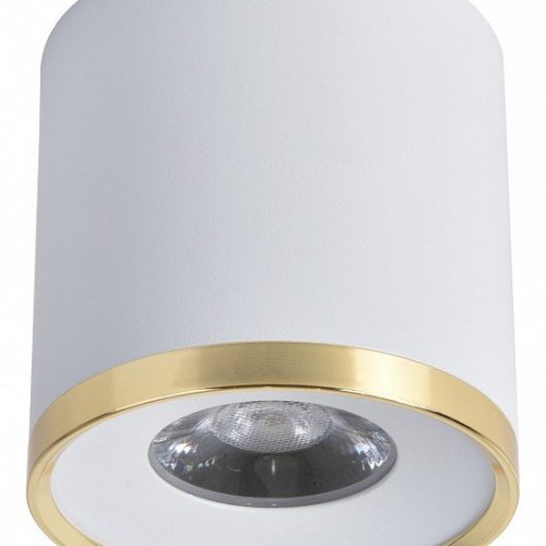 Потолочный светильник Favourite Prakash 3085-2C Потолочный светильник Favourite Prakash 3085-2C