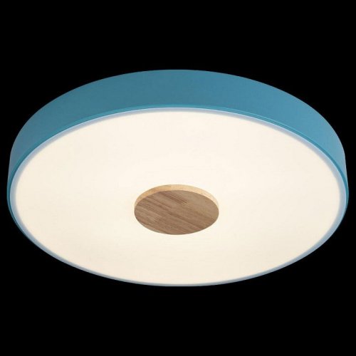 Потолочный светильник Loft IT Axel 10003/24 Blue