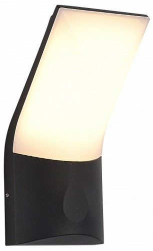 Настенный светильник уличный ST Luce Bright SL9543.701.01