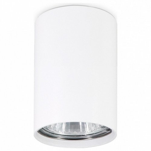 Потолочный светильник Ambrella light Techno Spot TN213101 Потолочный светильник Ambrella light Techno Spot TN213101