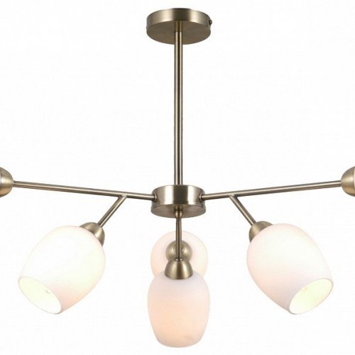 Потолочная люстра Moderli Cassy V10820-6C