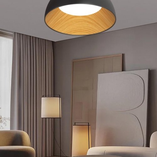 Потолочный светильник Alfa Light F0724-13