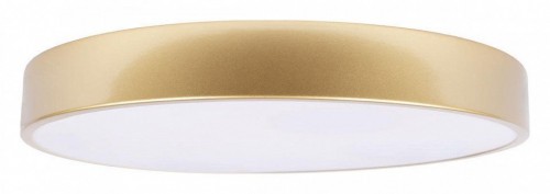 Потолочный светильник Loft IT Flims 10228/A