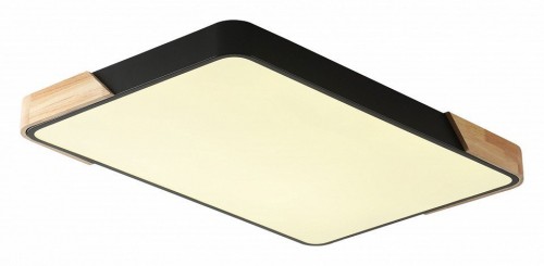 Потолочный светильник Zortes Alberro ZRS.01244.60