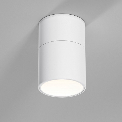 Потолочный светильник Elektrostandard 25112/LED a067487 Потолочный светильник Elektrostandard 25112/LED a067487