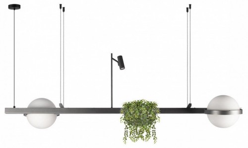 Подвесной светильник Loft IT Jardin 10121/D Dark grey