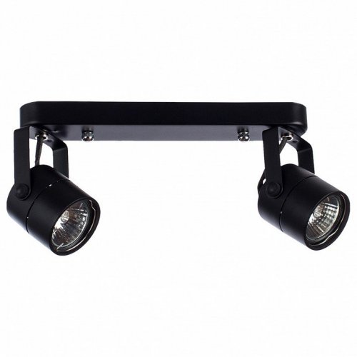 Спот Arte Lamp A1311PL-2BK Спот Arte Lamp A1311PL-2BK