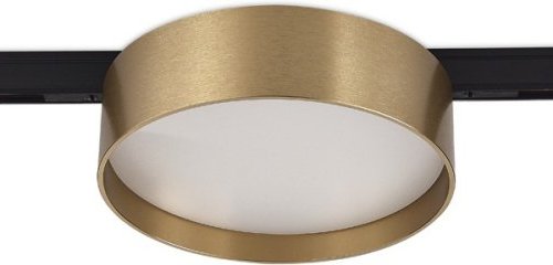 Трековый светильник Donolux Luna DL20735WW12Br