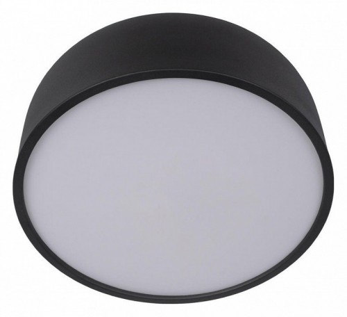 Потолочный светильник Loft IT Axel 10201/350 Black