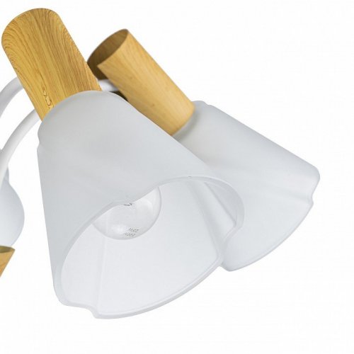 Потолочная люстра Escada Vardo 1131/5P