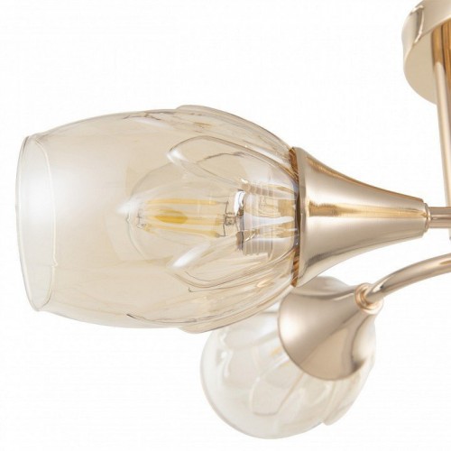 Потолочная люстра Arte Milano Napoli-6366 336366/5 FGD