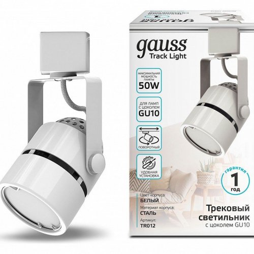 Светильник на штанге Gauss TR TR012