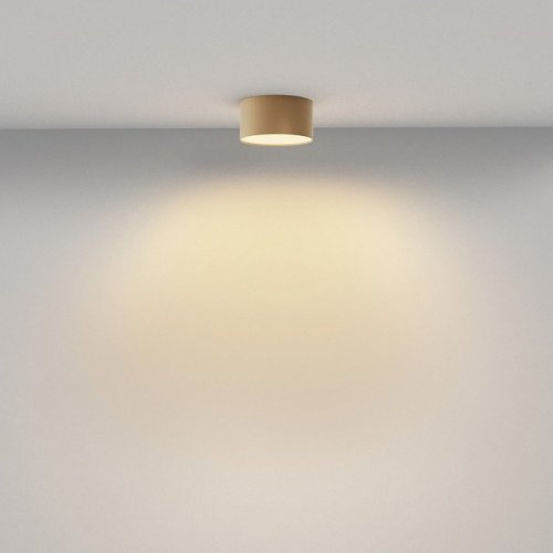 Потолочный светильник Maytoni Zon C032CL-12W2.7K-RD-MG