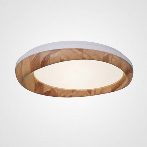 Потолочный светильник RUNIS01