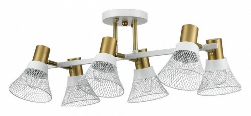 Потолочная люстра Lumion Anriya 8045/6C