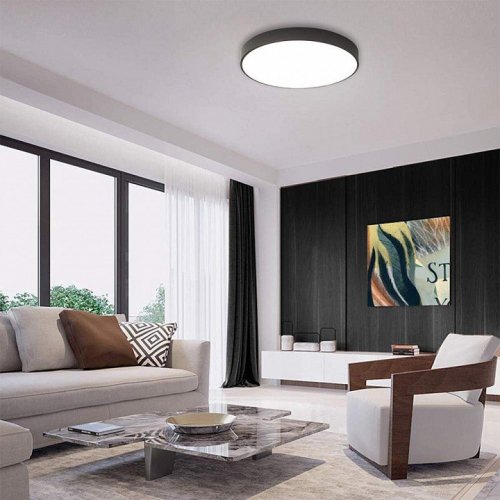 Потолочный светильник Feron 48884