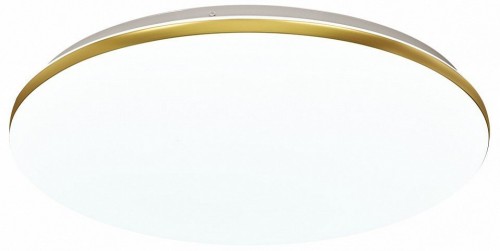 Настенно-потолочный светильник Sonex Lassa 3043/DL
