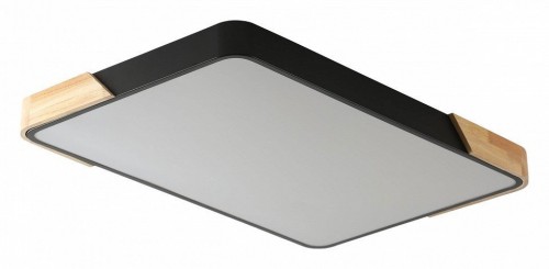 Потолочный светильник Zortes Alberro ZRS.01244.60