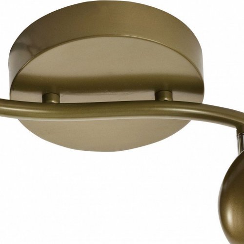 Светодиодный спот Toplight Carissa TL1244Y-02SG