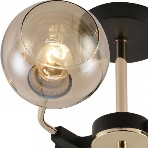 Потолочная люстра  01483-0.3-06 BK+FGD