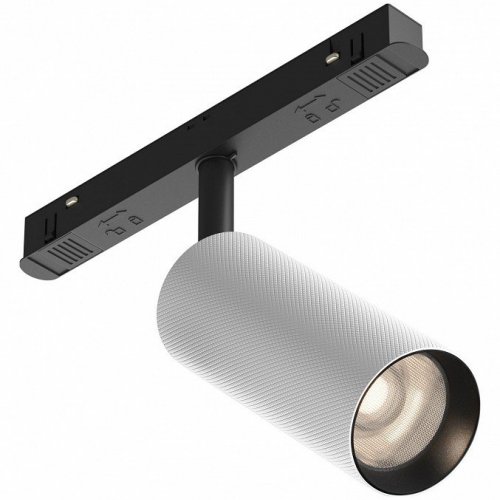 Трековый светильник Maytoni Artisan TR097-2-12W4K-M-BW