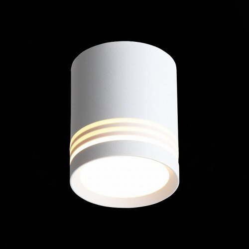 Точечный светильник ST Luce Cerione ST101.542.05