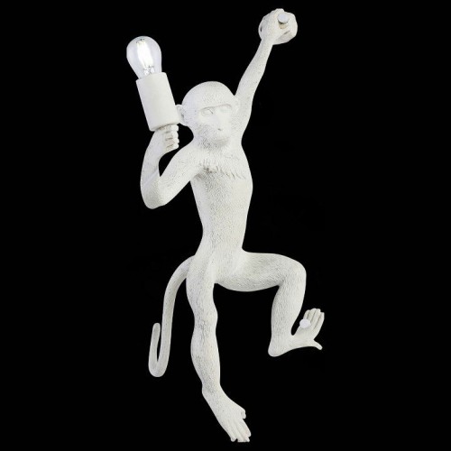 Бра Evoluce Tenato SLE115111-01 Бра Evoluce Tenato SLE115111-01