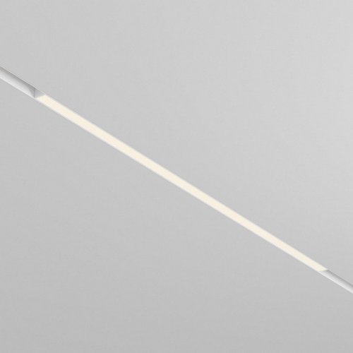 Трековый светильник Basis TR030-2-30W3K-W