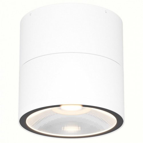 Потолочный светильник уличный Maytoni Spin O310CL-L12W3K