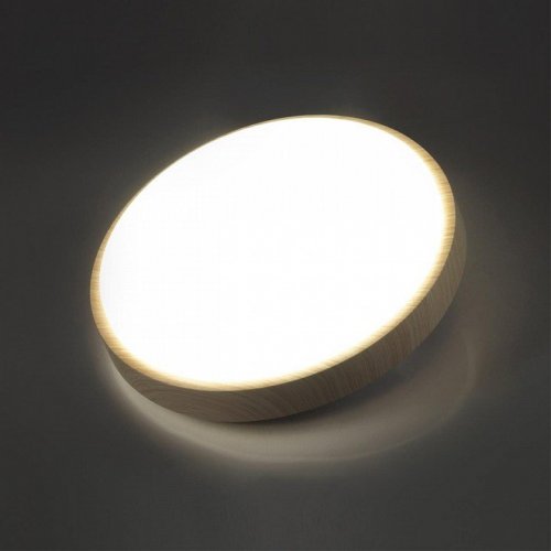 Настенно-потолочный светодиодный светильник Sonex Losta 7607/EL
