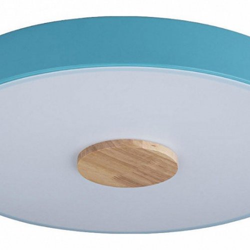 Потолочный светильник Loft IT Axel 10003/24 Blue
