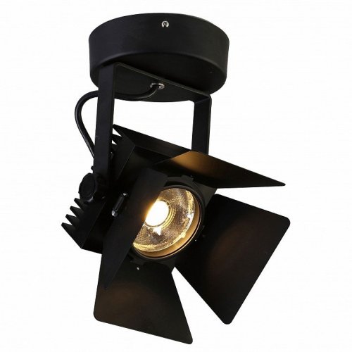 Потолочный светильник Favourite Projector 1770-1U