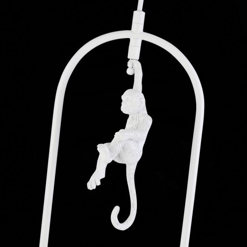 Подвесной светильник Evoluce Tenato SLE115123-01