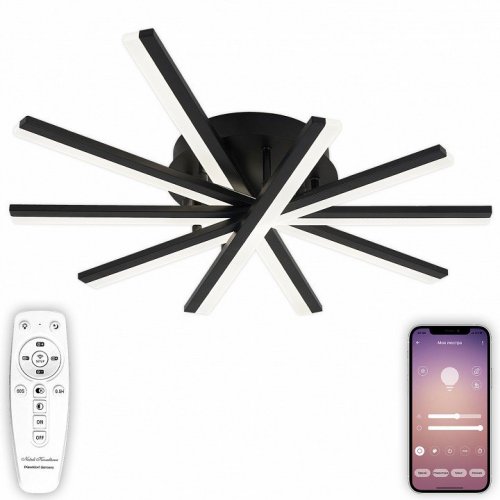 Потолочная люстра Natali Kovaltseva Line LED LAMPS 81174