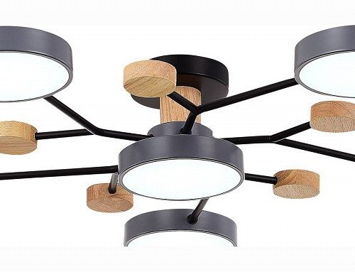 Потолочная люстра EVOLUCE Faema SLE6006-702-06