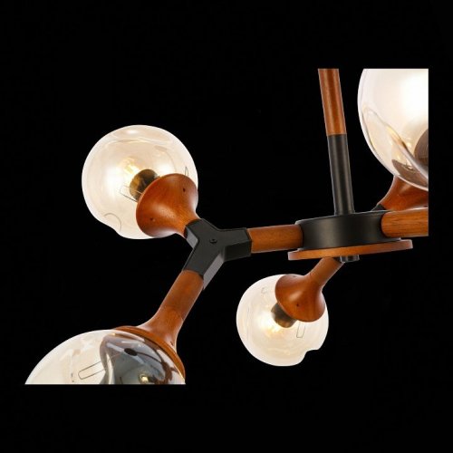 Потолочная люстра Evoluce Raquel SLE109402-06 Потолочная люстра Evoluce Raquel SLE109402-06